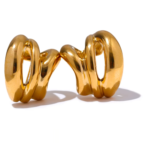 Earrings product image